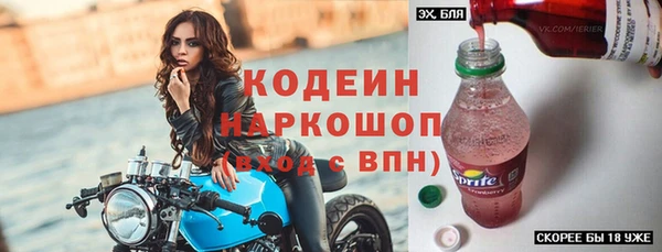 прущие грибы Богданович