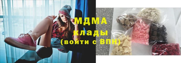 прущие грибы Богданович