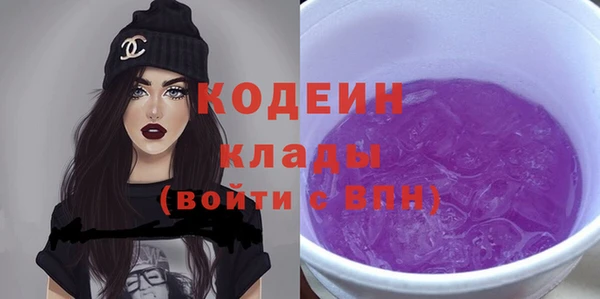 прущие грибы Богданович
