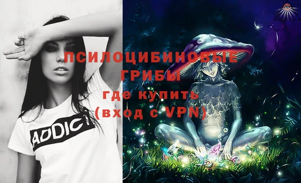 прущие грибы Богданович