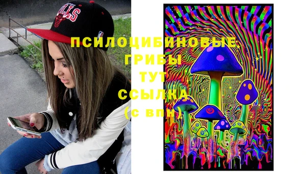 амф Семилуки
