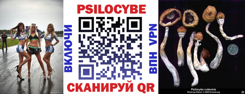 Галлюциногенные грибы Cubensis  закладки  Канаш 